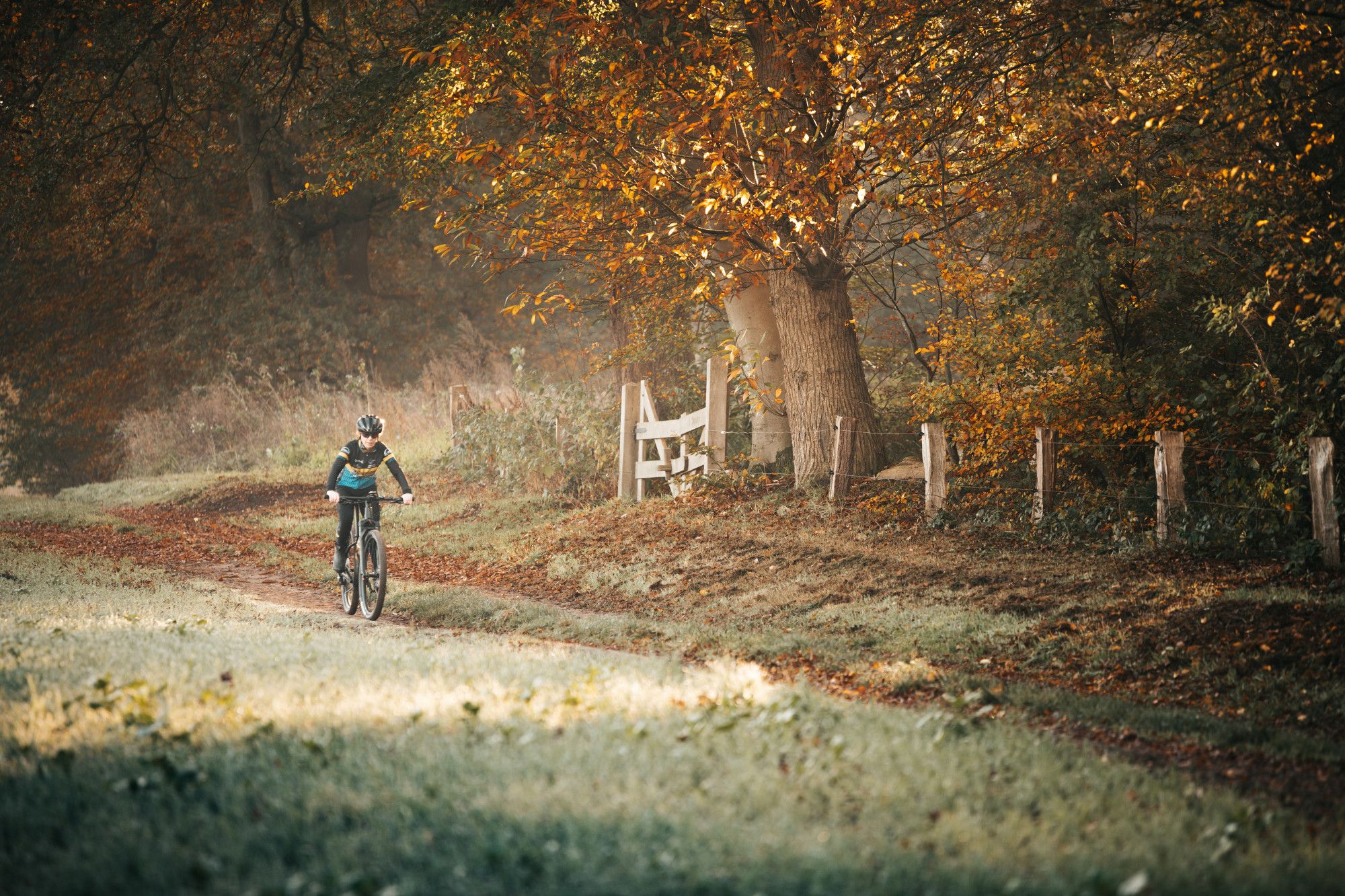 Achterhoek Routen MTB Route Winterswijk